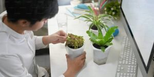 Lire la suite à propos de l’article Plantes : le secret pour les garder en vie plus de 10 ans en changeant simplement vos habitudes