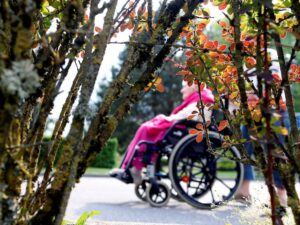 Lire la suite à propos de l’article La Longévité Révélée : Pourquoi Vos Gènes Ne Sont Pas Votre Destin (et Comment Agir)