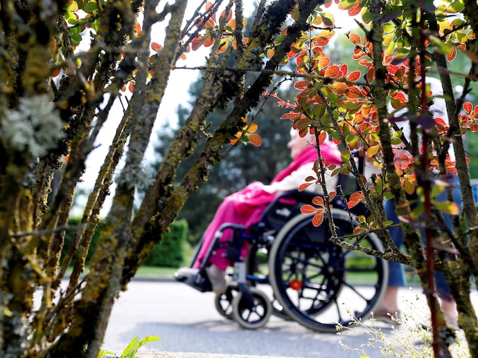 You are currently viewing La Longévité Révélée : Pourquoi Vos Gènes Ne Sont Pas Votre Destin (et Comment Agir)