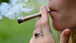 Lire la suite à propos de l’article Cannabis : pourquoi tous les consommateurs ne sont pas « problématiques », selon une étude québécoise