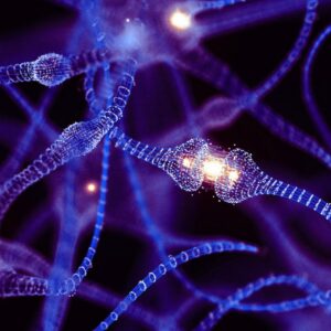 Lire la suite à propos de l’article Alzheimer : relancer l’énergie des neurones pourrait être la clé pour freiner la maladie