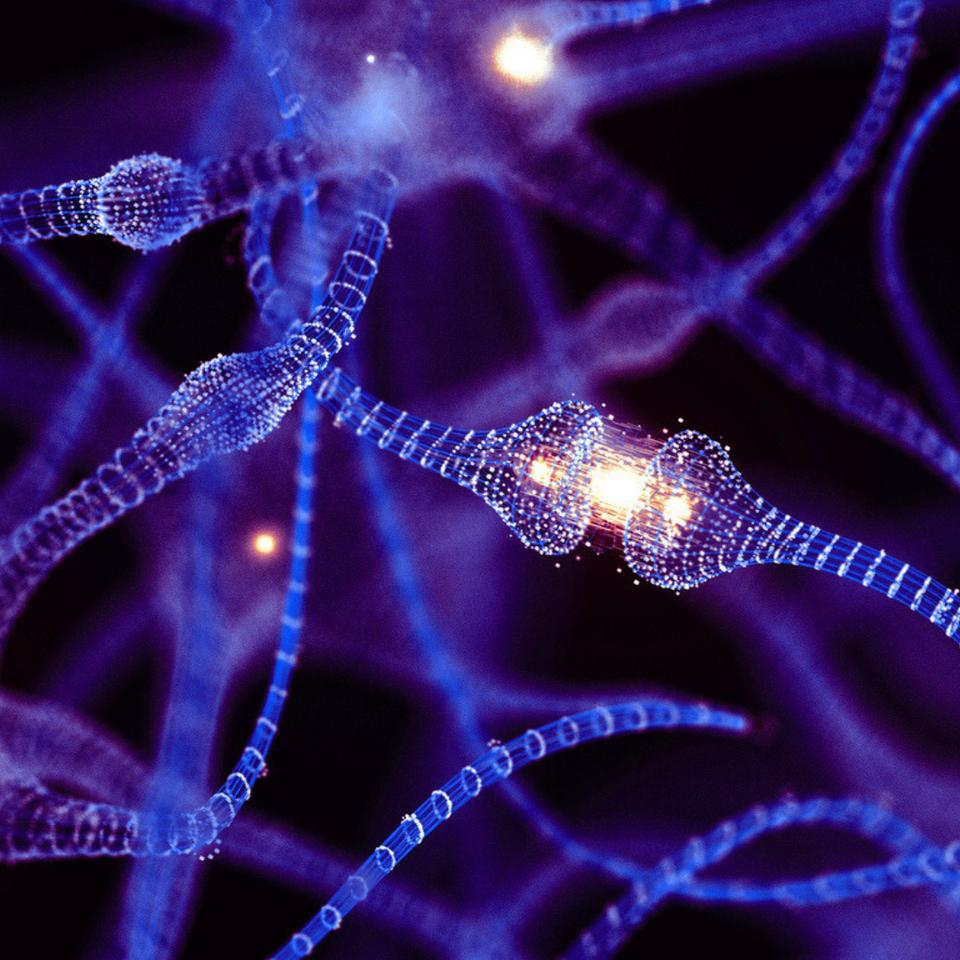 You are currently viewing Alzheimer : relancer l’énergie des neurones pourrait être la clé pour freiner la maladie