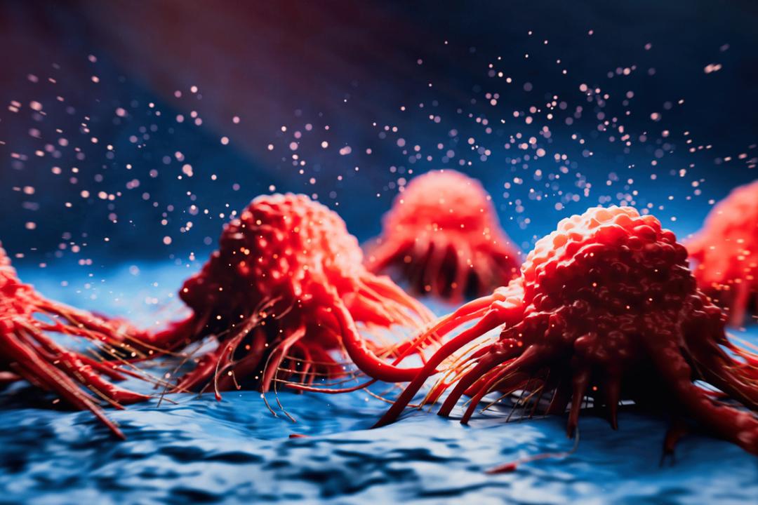 You are currently viewing La Révélation Scientifique : Comprendre la Dualité de l&rsquo;Anti-Âge et le Risque de Cancer