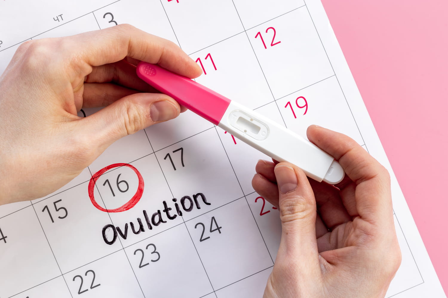 You are currently viewing Calcul Ovulation : Votre Guide Complet pour Comprendre et Maîtriser Votre Cycle